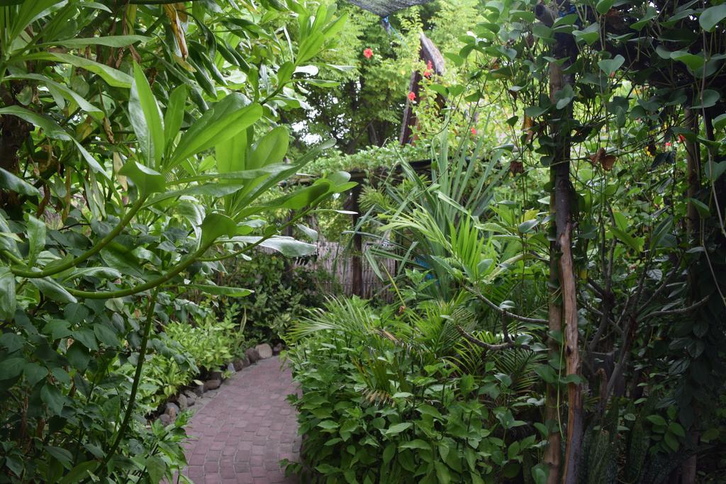 Ana Warung & Bungalows Gili Meno Ngoại thất bức ảnh